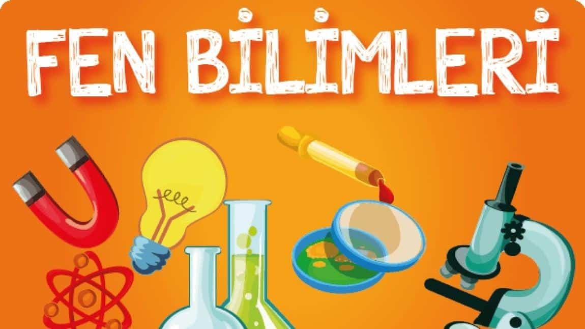 Hücre Modeli, Samanyolu Gezegen sistemi, Ayın Evreleri Etkinliklerimiz.